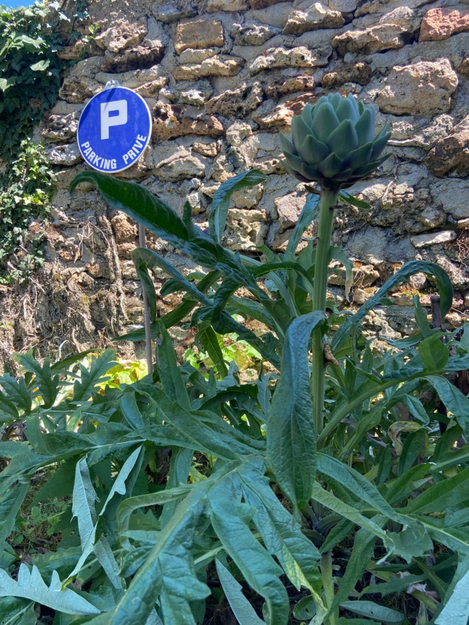 La Petite Maison Dans La Brie Villa Guérard Buitenkant foto